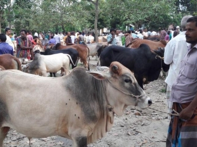 Officials advise against animal market in Dhaka, three other cities amid Covid-19 pandemic
